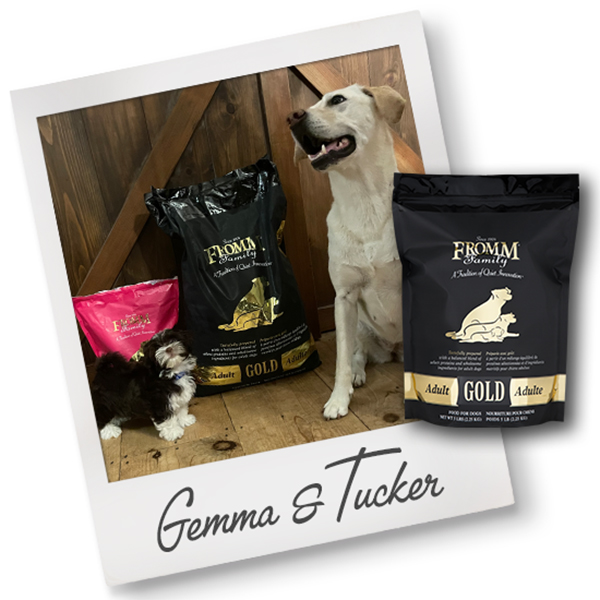 Fromm dog food black hot sale bag